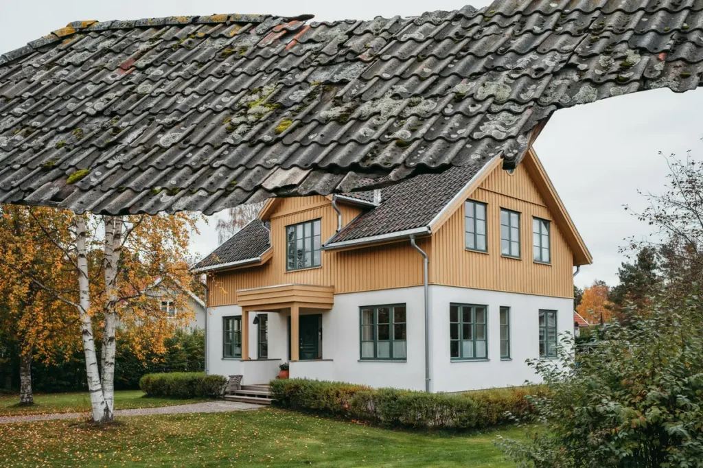 mossa p taket s tar du bort p v xt skonsamt och f rebygger att den kommer tillbaka